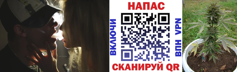Конопля марихуана  Трубчевск 